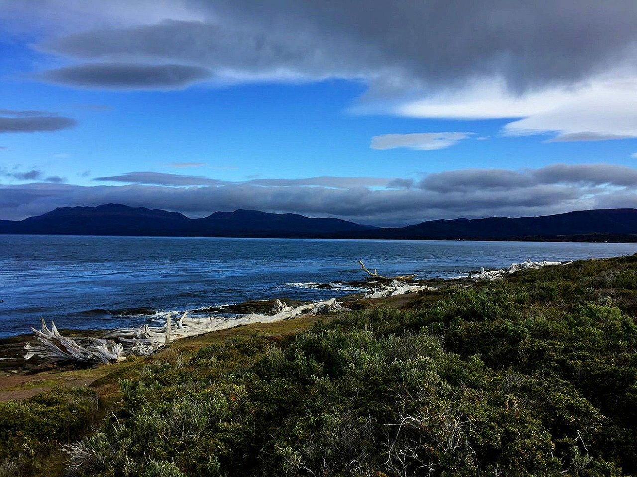 https://www.patagoniarentacarexpress.cl/wp-content/uploads/2020/02/punta-arenas-2282136_1280.jpg