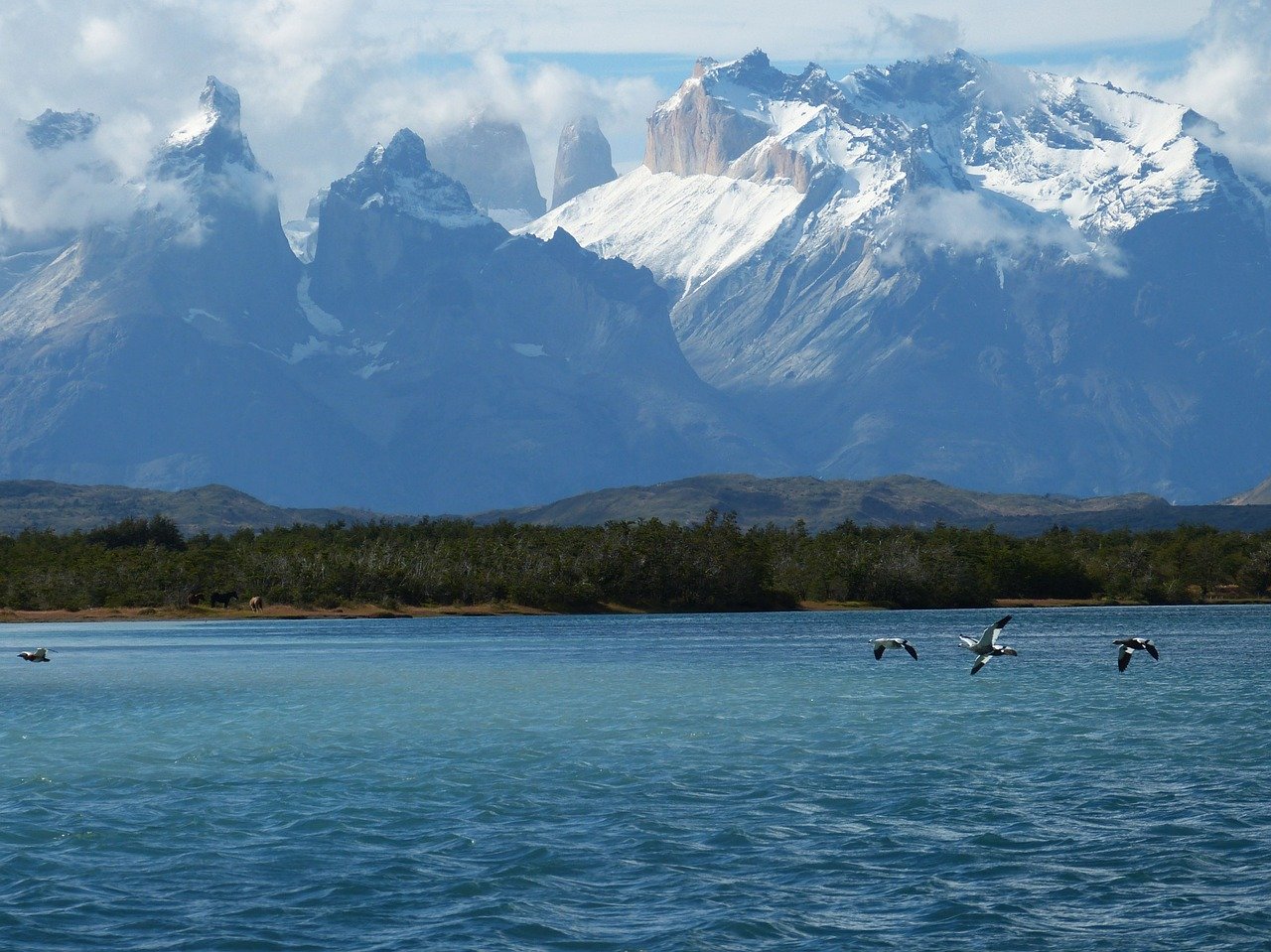 https://www.patagoniarentacarexpress.cl/wp-content/uploads/2020/02/torres-del-paine-675737_1280.jpg